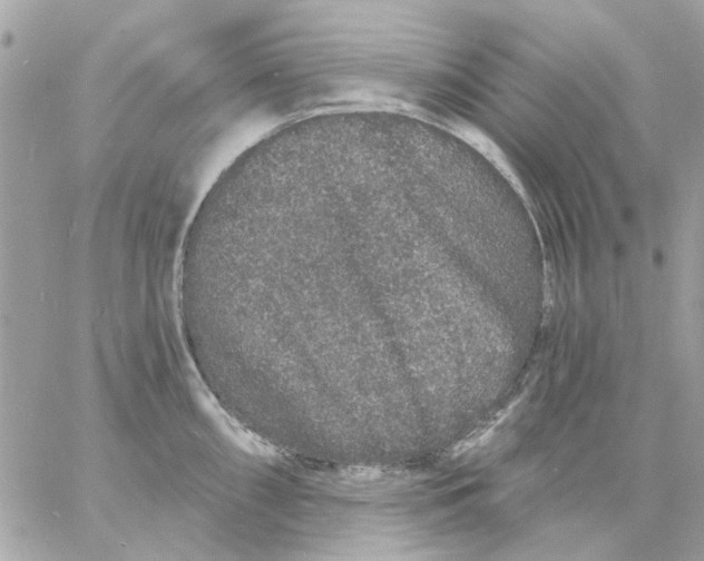 X0000057091098200510071905