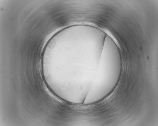 X0000057091100200510071905