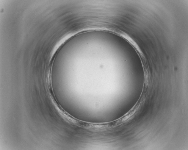 X0000057091101200510071905