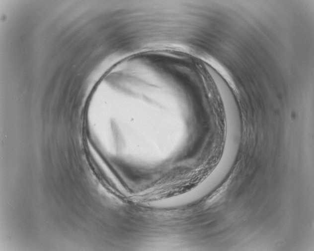 X0000057091102200510071905