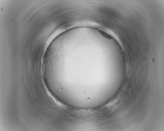 X0000057091103200510071905