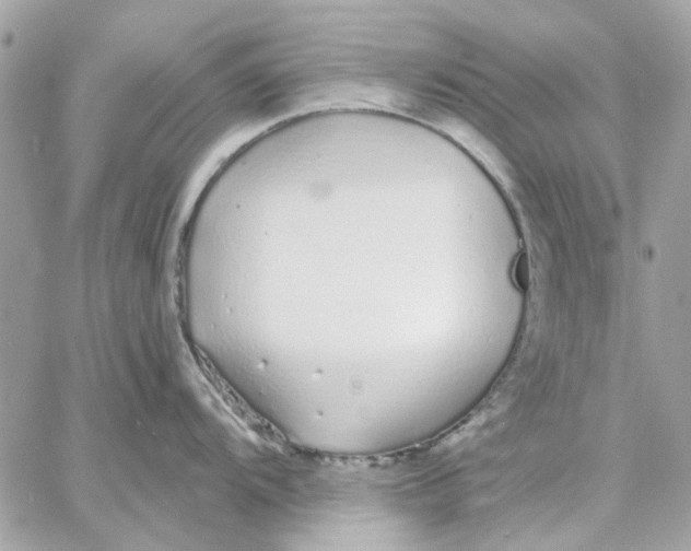 X0000057091104200510071905