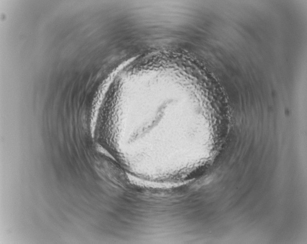 X0000057091106200510071904