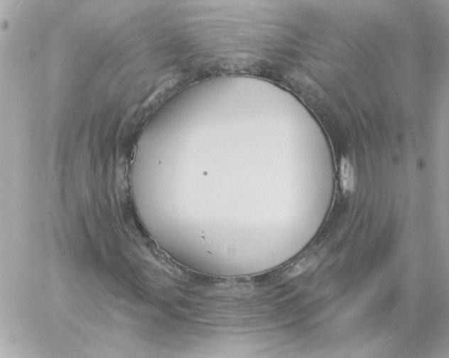 X0000057091107200510071904