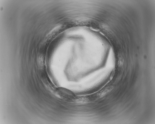 X0000057091108200510071904