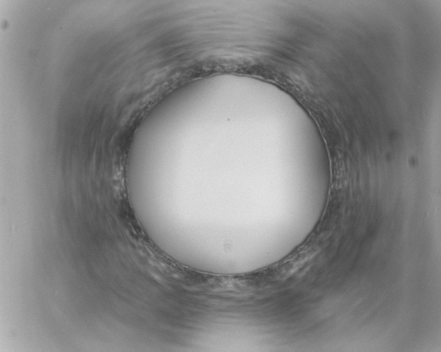 X0000057091109200510071904