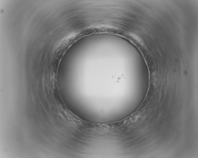 X0000057091111200510071904