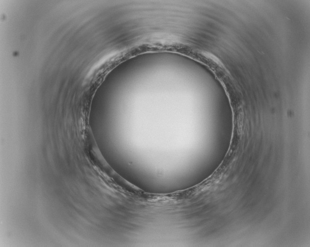 X0000057091112200510071904