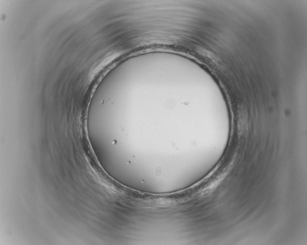 X0000057091113200510071904