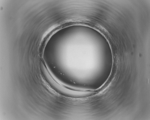 X0000057091114200510071904