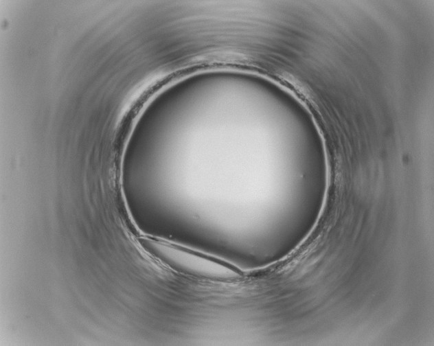 X0000057091115200510071904