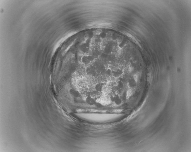 X0000057091117200510071904