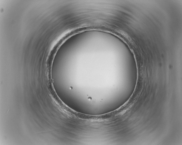 X0000057091118200510071904