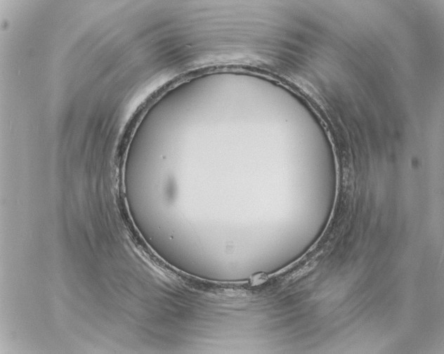 X0000057091119200510071904