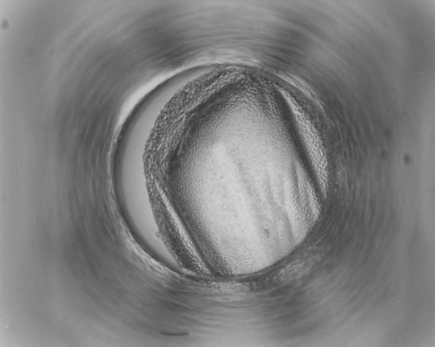 X0000057091120200510071904