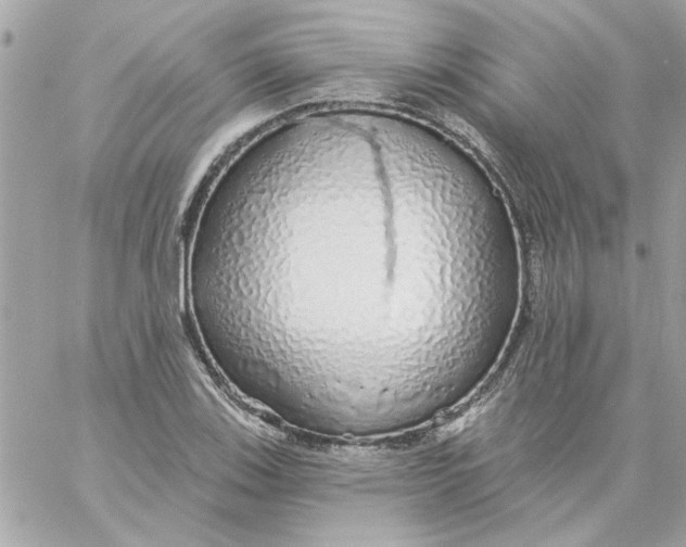 X0000057091123200510071904