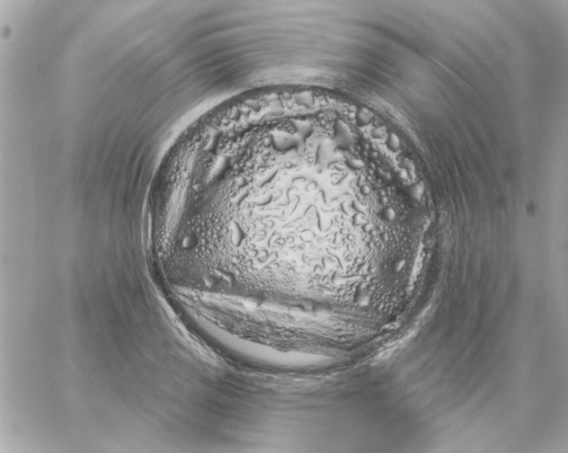 X0000057091125200510071904