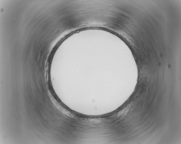 X0000057091126200510071904