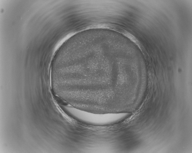 X0000057091127200510071904