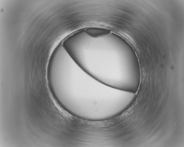 X0000057091128200510071904