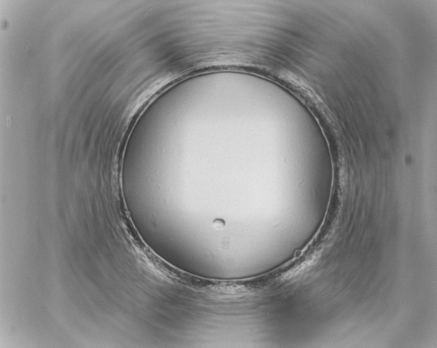 X0000057091129200510071904