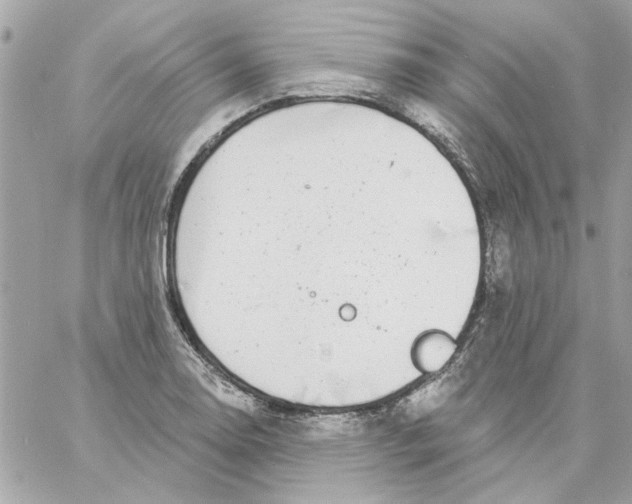 X0000057091130200510071904