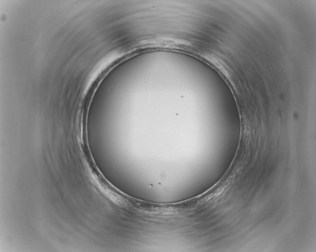 X0000057091131200510071904