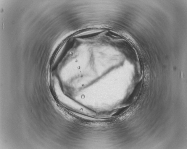 X0000057091132200510071904