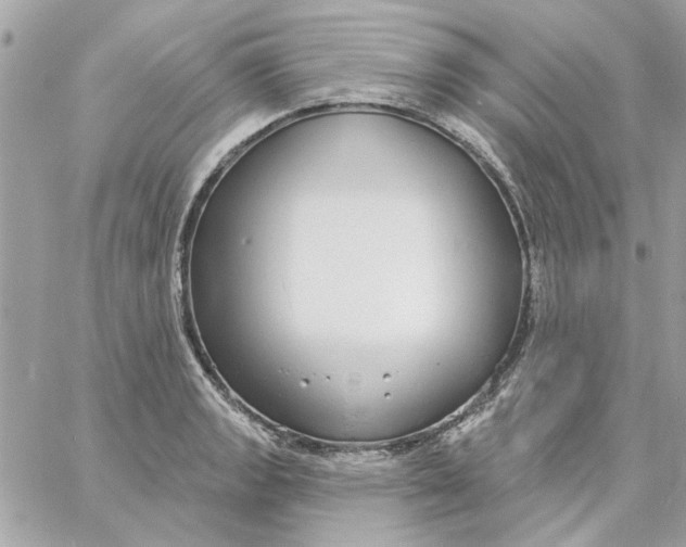 X0000057091133200510071904