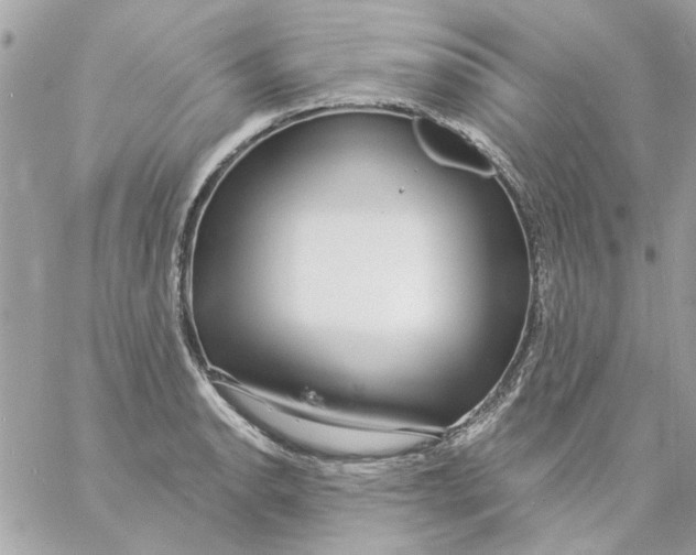 X0000057091134200510071904