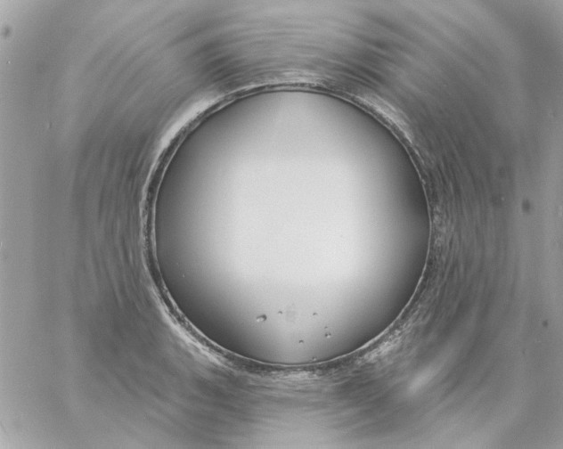 X0000057091135200510071904