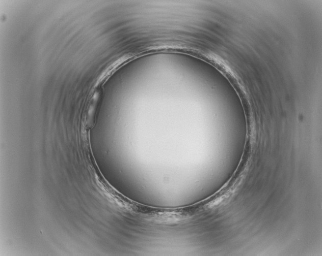 X0000057091137200510071904