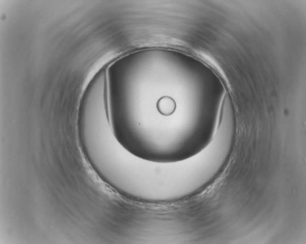 X0000057091138200510071904