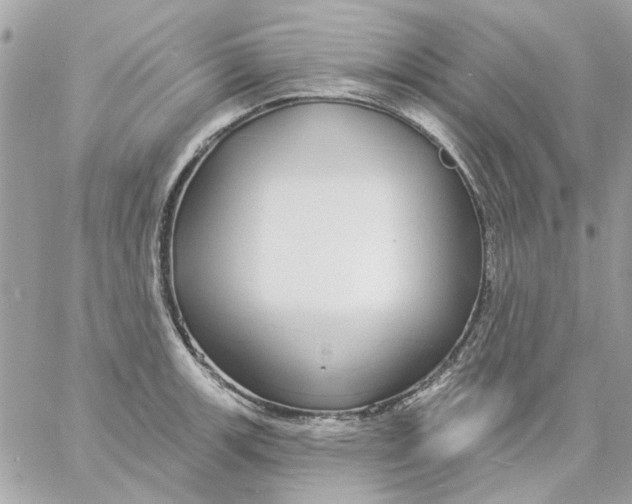 X0000057091139200510071904