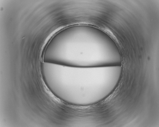 X0000057091140200510071904