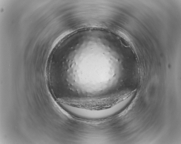 X0000057091141200510071904