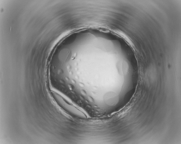 X0000057091142200510071904