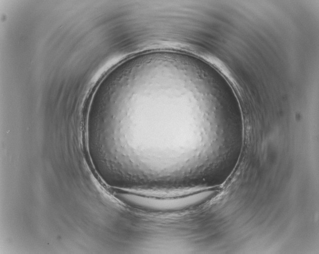 X0000057091143200510071904