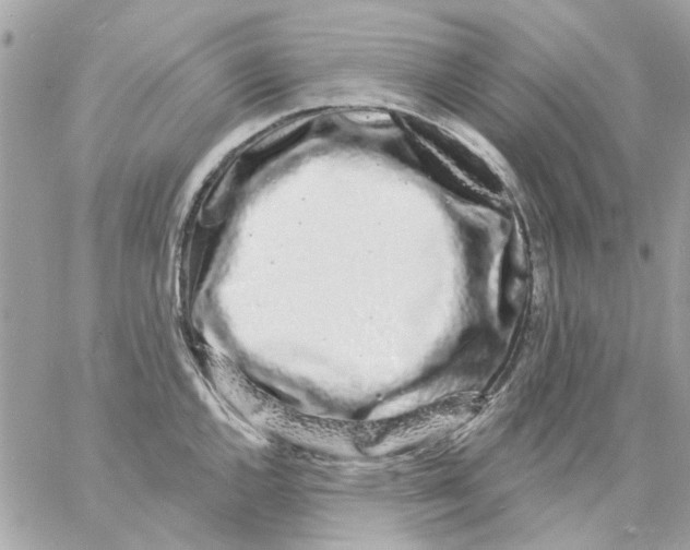 X0000057091144200510071904