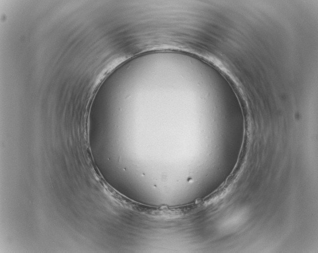 X0000057091145200510071904