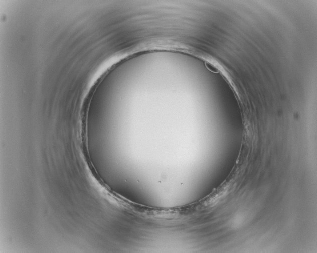 X0000057091147200510071904