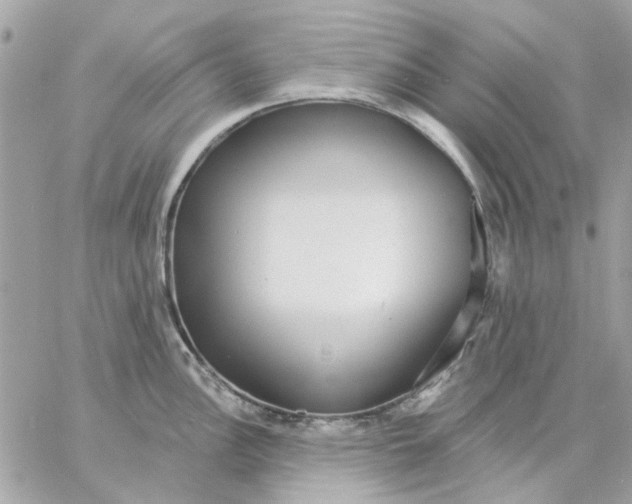 X0000057091148200510071904