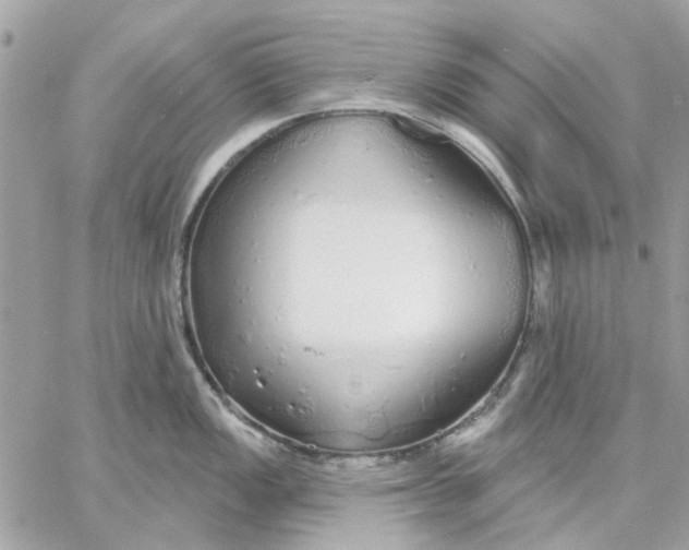 X0000057091149200510071904