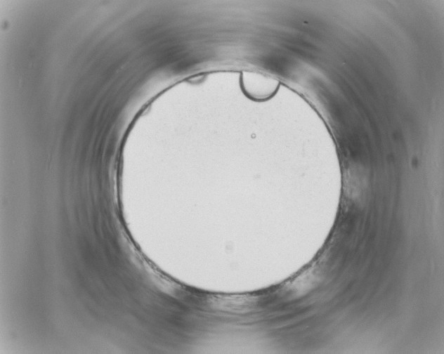 X0000057091150200510071904