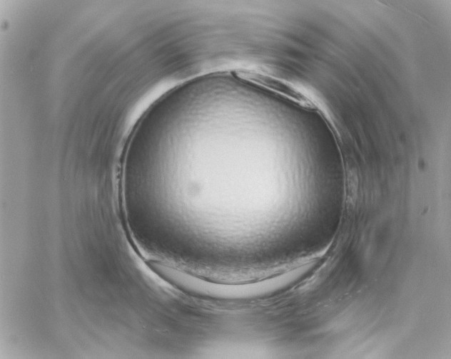 X0000057091151200510071904