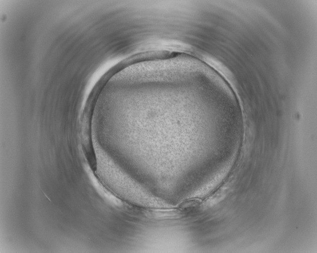 X0000057091152200510071905