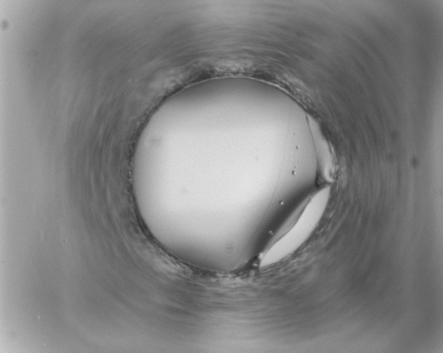 X0000057091153200510071904