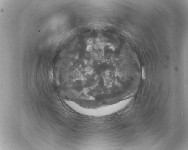 X0000057091155200510071904