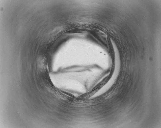 X0000057091156200510071904