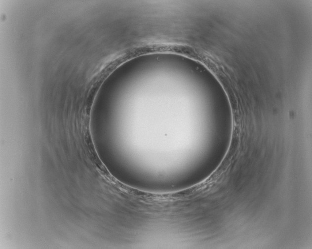 X0000057091157200510071904